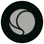 Disney Lorcana Common Emblem