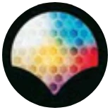 Disney Lorcana Common Emblem