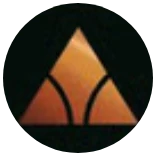 Disney Lorcana Common Emblem